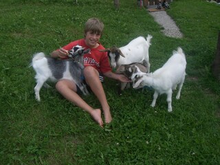 Appartamento Abtenau Registrazione all'aperto 8