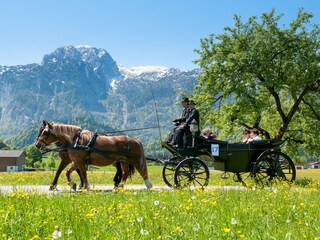 Appartamento Abtenau Ambiente 23