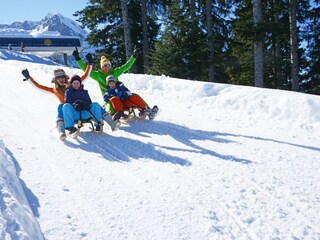 Appartamento Abtenau Ambiente 31