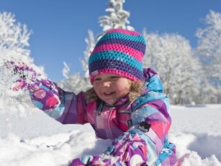 Appartamento Abtenau Ambiente 34