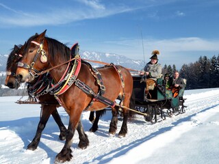 Appartamento Abtenau Ambiente 35