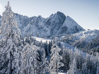 Appartamento Abtenau Ambiente 39