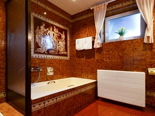 Appartamento Abtenau Caratteristiche 14