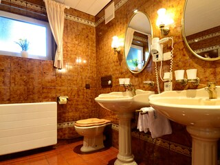 Appartamento Abtenau Caratteristiche 15