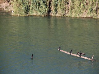 Villa Sernhac Omgeving 31