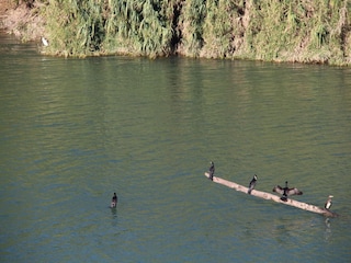 Villa Sernhac Umgebung 31