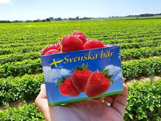 Vakantiehuis Degeberga  14