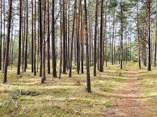 Ferienhaus Degeberga  17