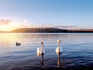 Ferienhaus Stockholm  12