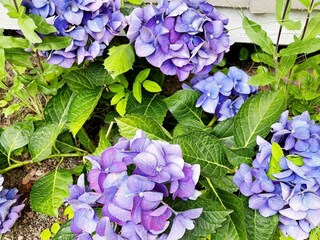 Ferienhaus Stockholm Außenaufnahme 3