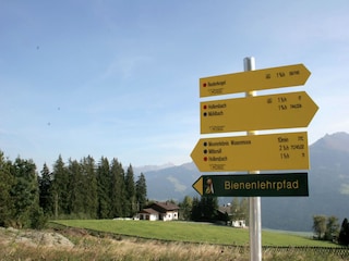 Apartment Hollersbach im Pinzgau Environment 33