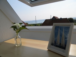 Blick aus dem Dachfenster