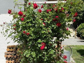 Ferienwohnung Fischbachau Außenaufnahme 4