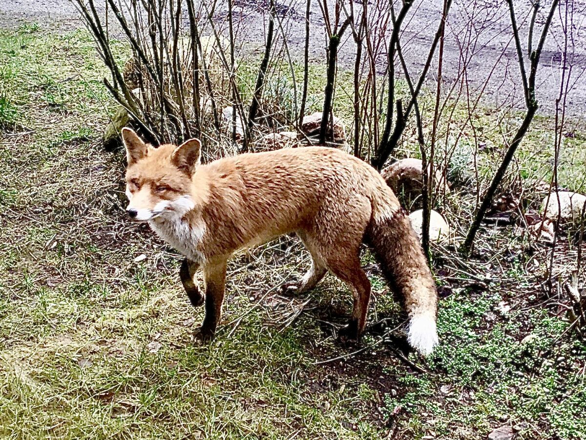 Waldbesucher