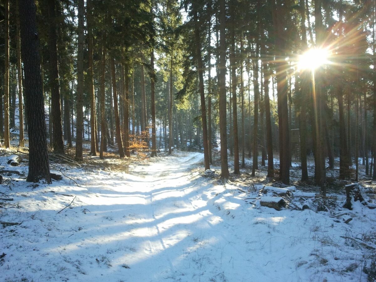 Blumenthaler Waldweg