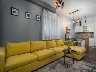 Villa Zmijavci Caratteristiche 44