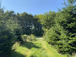 Vakantiehuis Als  37