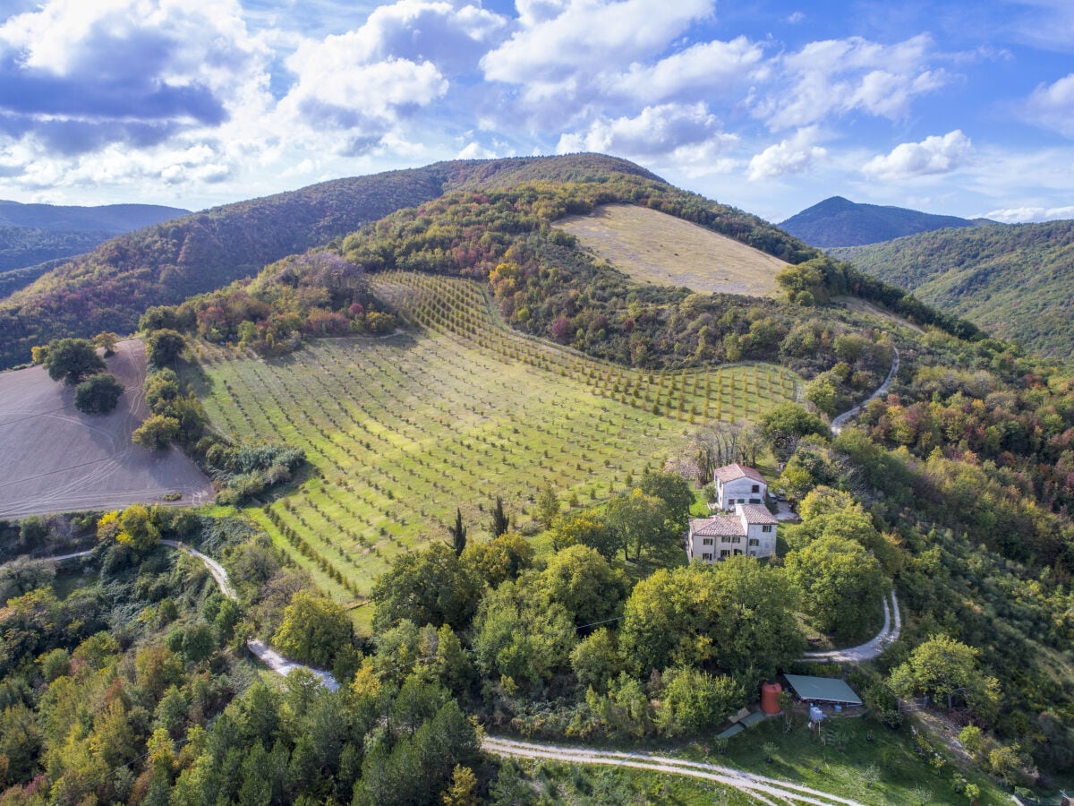 im Naturpark und Trüffelfeld