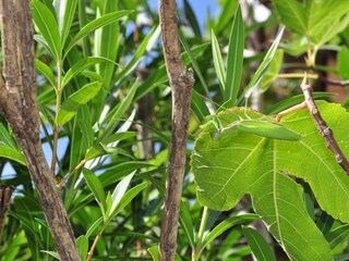 Appartamento per vacanze Arcevia Ambiente 31