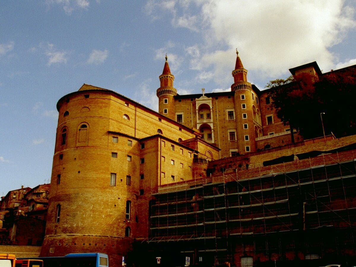 Urbino