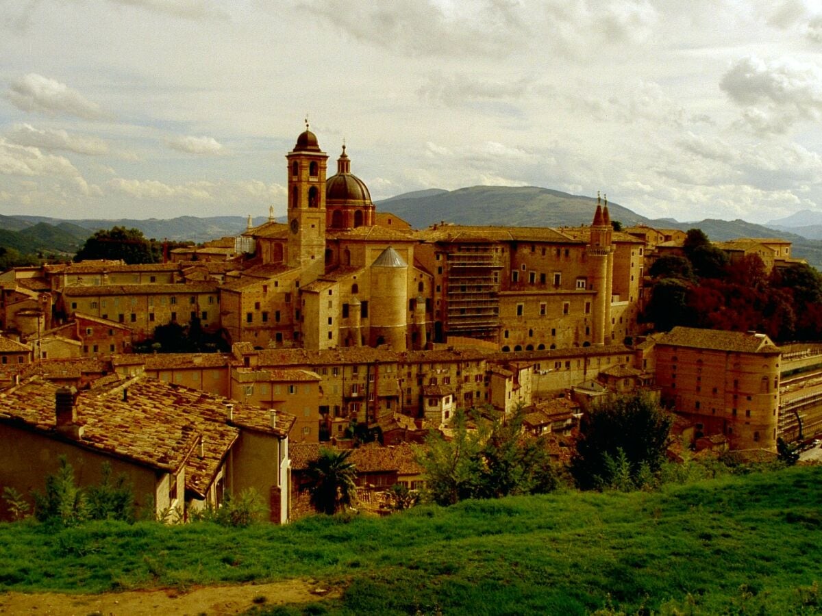 Urbino