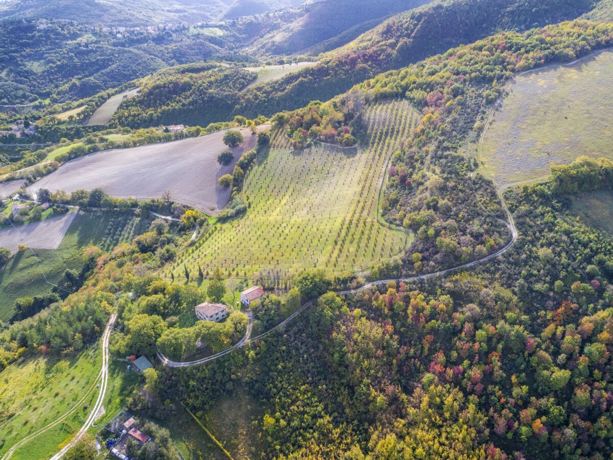 im Naturpark und Trüffelfeld