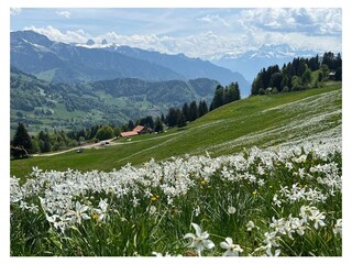 Apartamento de vacaciones Arlesheim Entorno 12