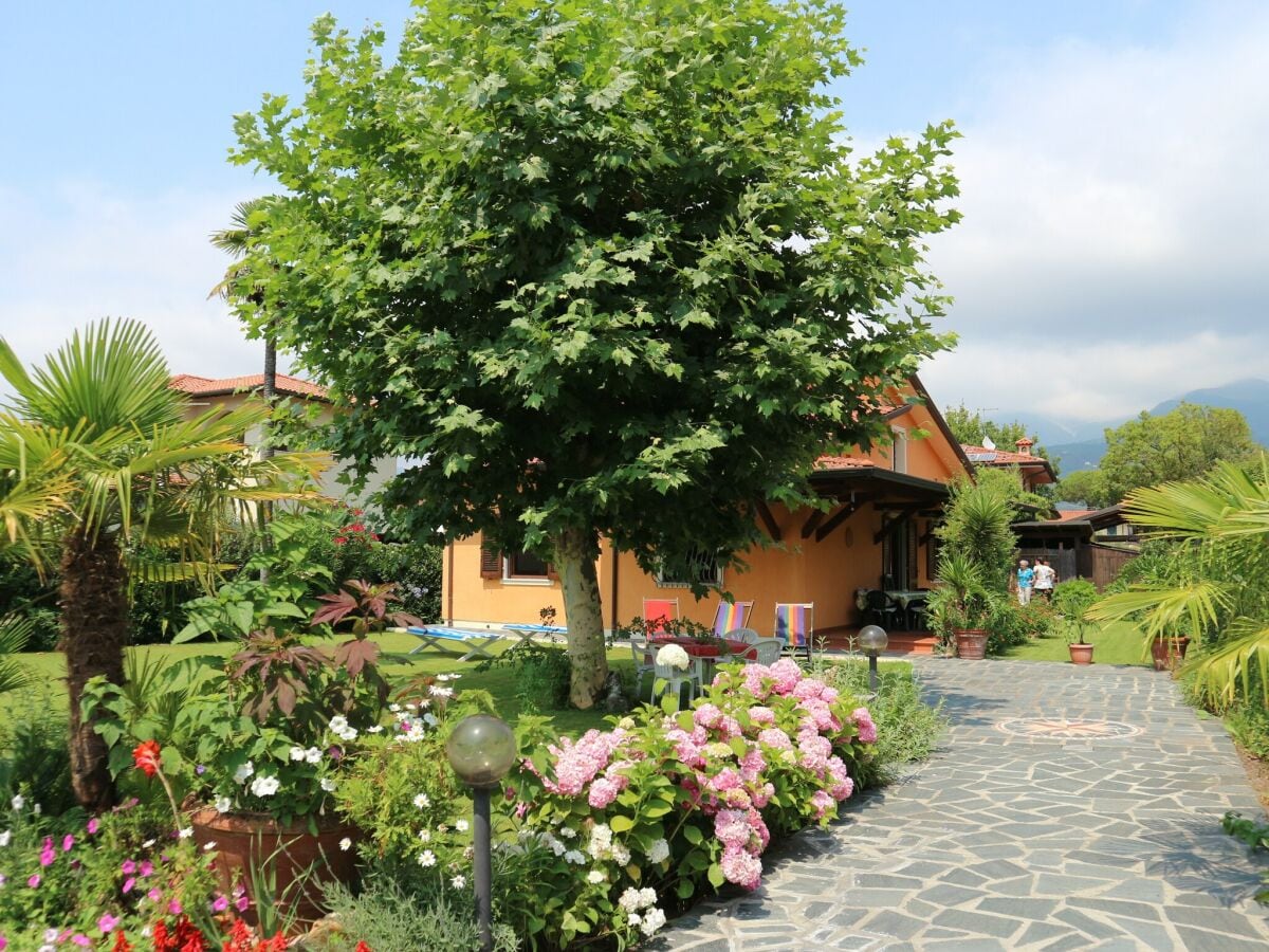 Ferienhaus Cinquale Außenaufnahme 2