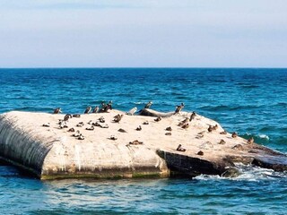 Vakantiehuis Skagen  10