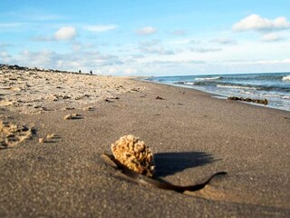 Casa per le vacanze Skagen  37