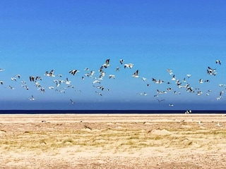Vakantiehuis Skagen  11