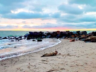 Vakantiehuis Skagen  14