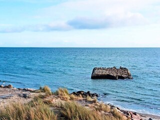 Vakantiehuis Skagen  16