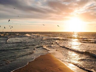 Maison de vacances Skagen  6