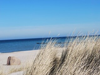 Appartamento Bastorf Ambiente 35