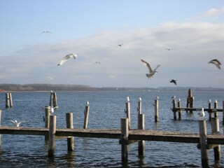 Appartement Bastorf Environnement 32