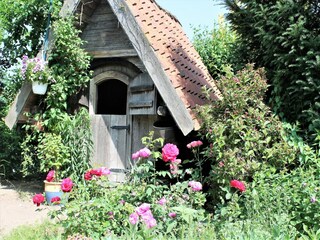 Apartamento Klütz Grabación al aire libre 5