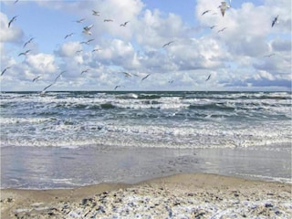 Appartamento Klütz Ambiente 25