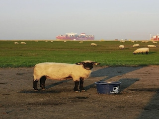 Apartment Altenbruch  39