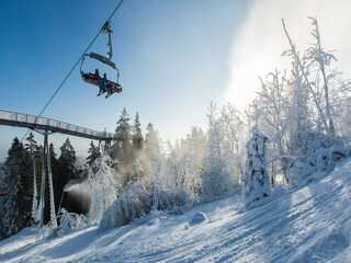 Apartment Winterberg Environment 12