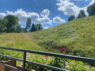 Apartment Winterberg Außenaufnahme 2