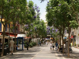 Apartamento s'Agaró Entorno 28