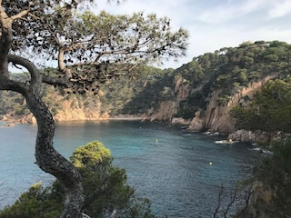 Appartement s'Agaró Omgeving 34