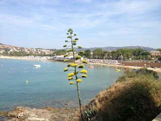 Apartment s'Agaró Umgebung 34