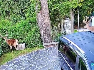 Maison de vacances Trarego Viggiona  32