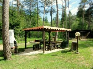 Modernes Ferienhaus in Pieve di Ledro mit Garten - Pur di Ledro - image1