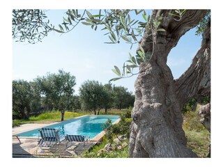 Casa per le vacanze Castrignano del Capo Registrazione all'aperto 12