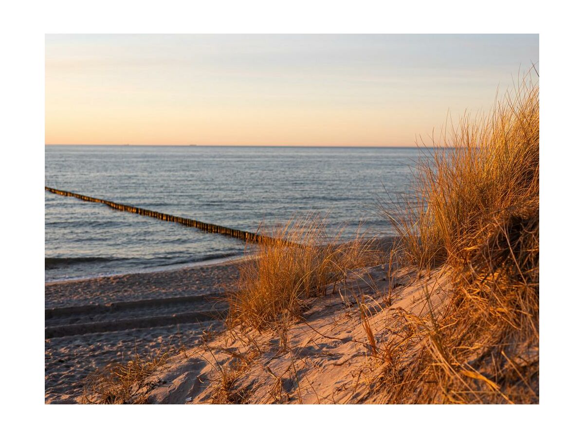 Floatinghouses Strandabschnitt