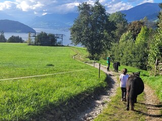 Appartamento per vacanze Fresach Ambiente 25