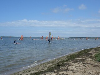 Ferienhaus Pepelow Umgebung 23